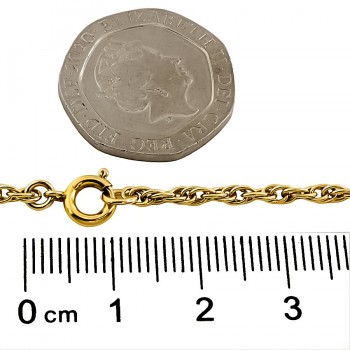 9ct Gold 12.6g 20 inch Locket with Chain